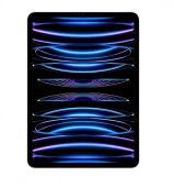 iPad Pro 11.0 (2022) WiFi 256GB 