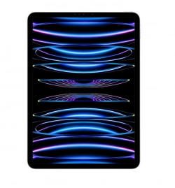 Apple iPad Pro 11 inch (2022) 5G 256GB